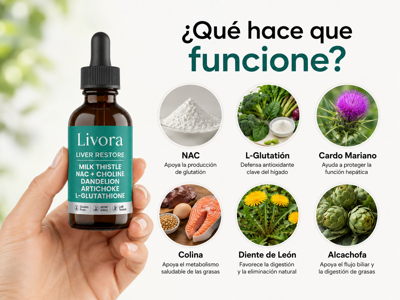 Imagen del punto